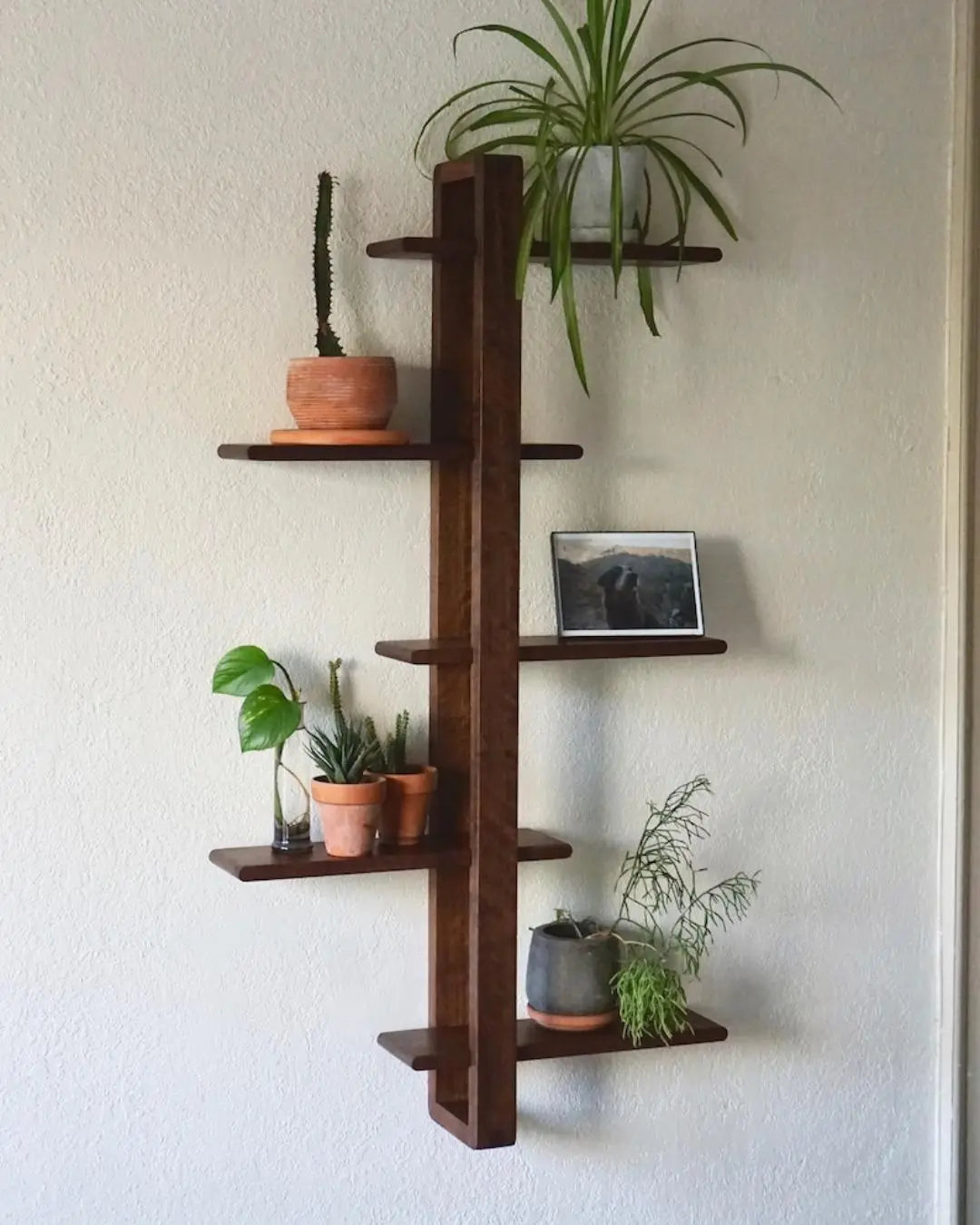 5 Tier Walnut Shift Shelf  - Handmade Solid Wood Wall Shelf for Plants, Art, Books & Photos | Adjustable, Mid-Century Modern - XEILI