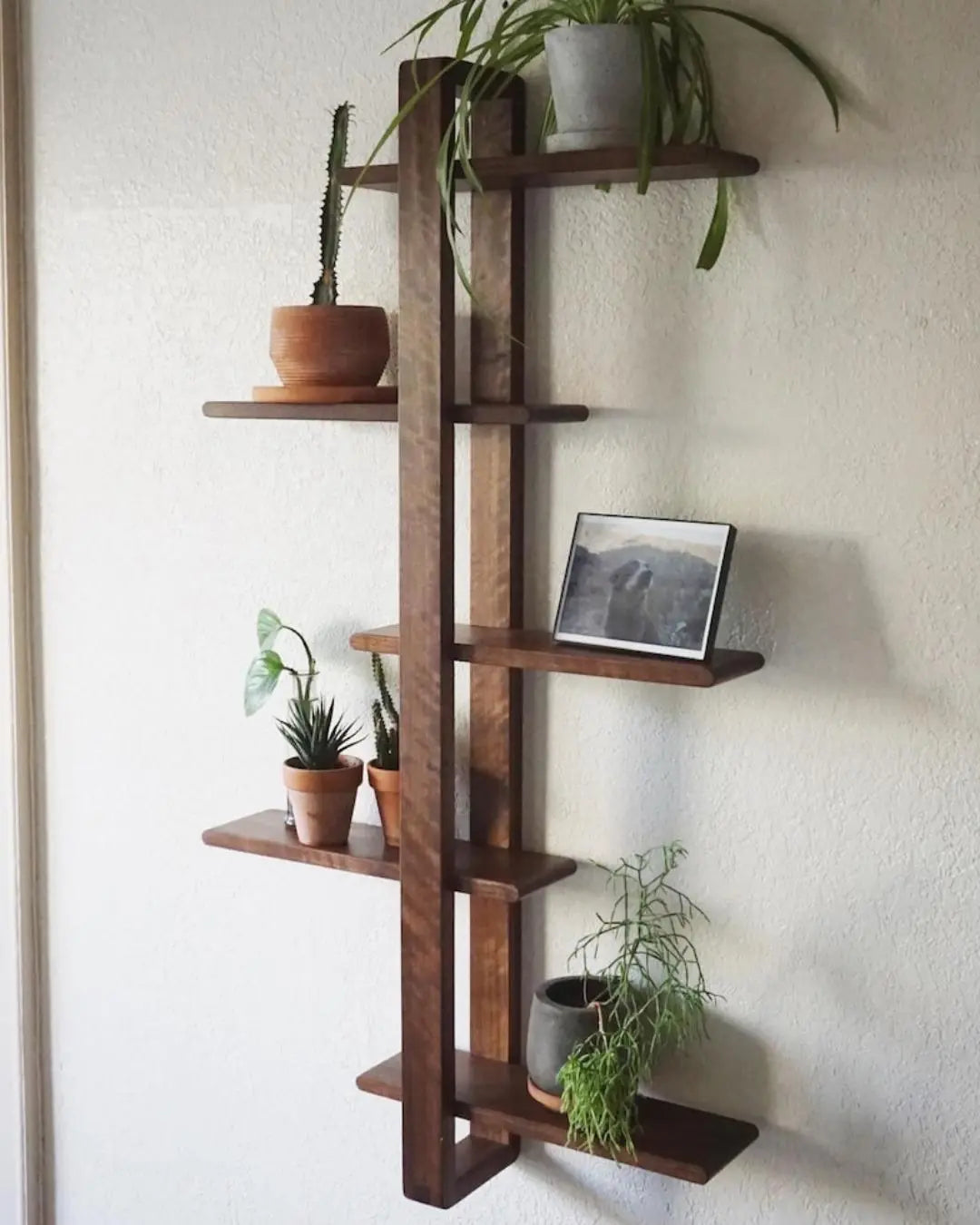 5 Tier Walnut Shift Shelf  - Handmade Solid Wood Wall Shelf for Plants, Art, Books & Photos | Adjustable, Mid-Century Modern - XEILI